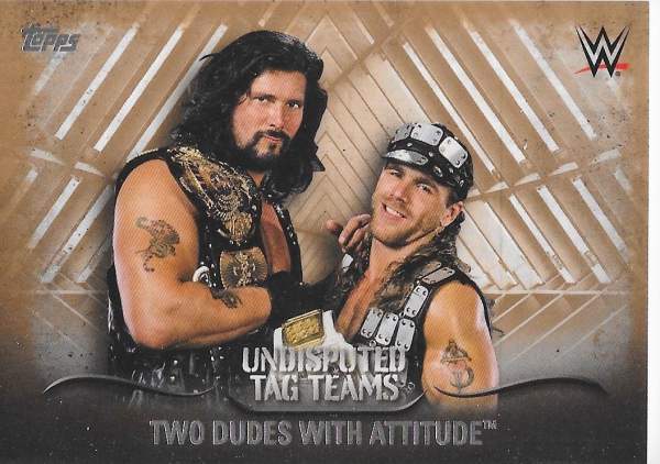 2016 WWE Undisputed Tag Team Card Example